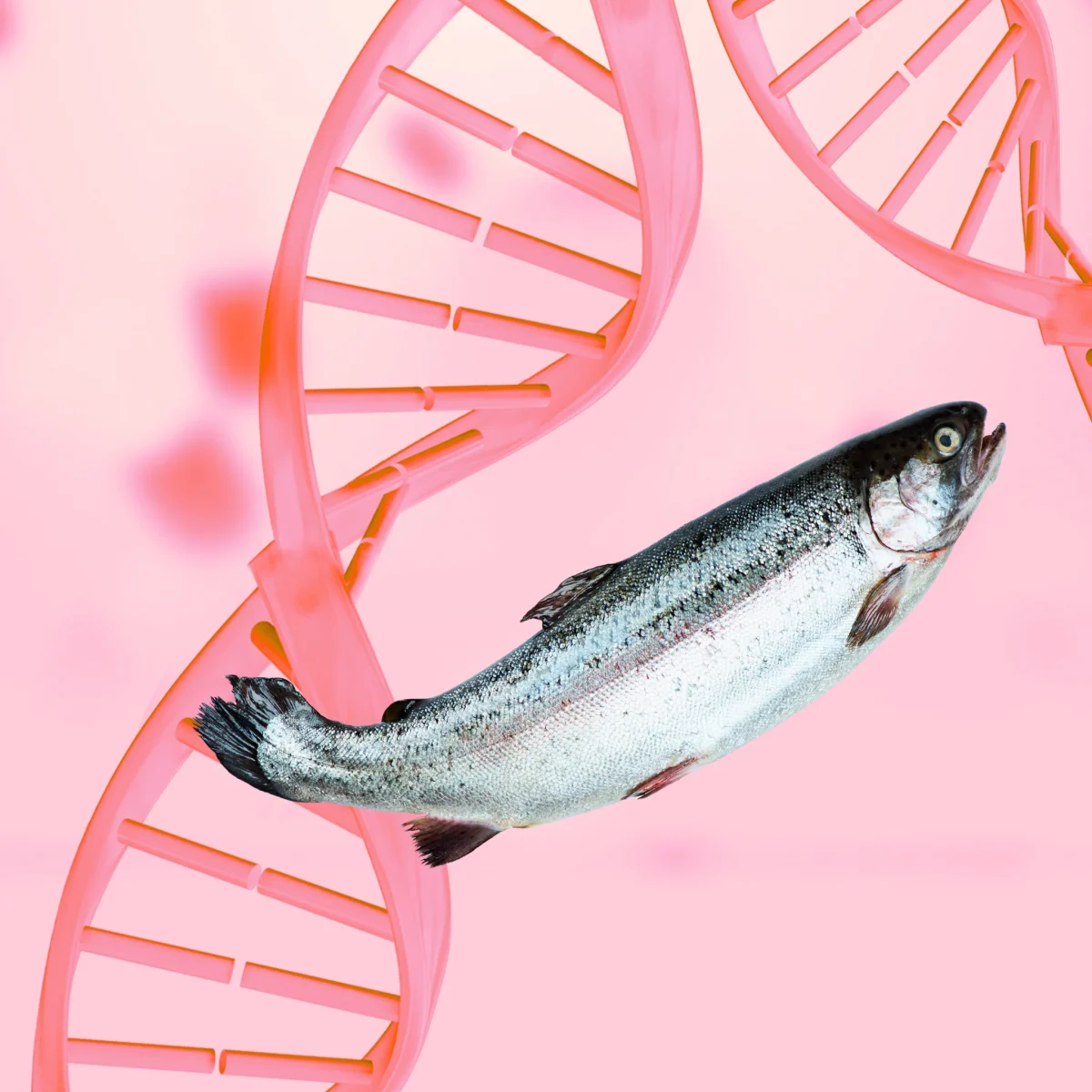 Salmon DNA PDRN K-beauty skincare ingredient breakthrough 2026 best serum