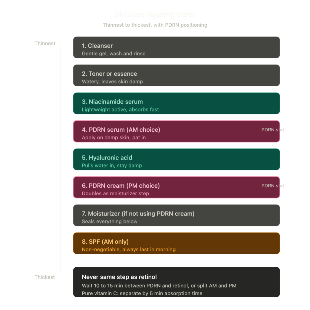PDRN skincare layering order infographic 2026 — eight-step routine from cleanser to SPF showing where PDRN serum and PDRN cream fit